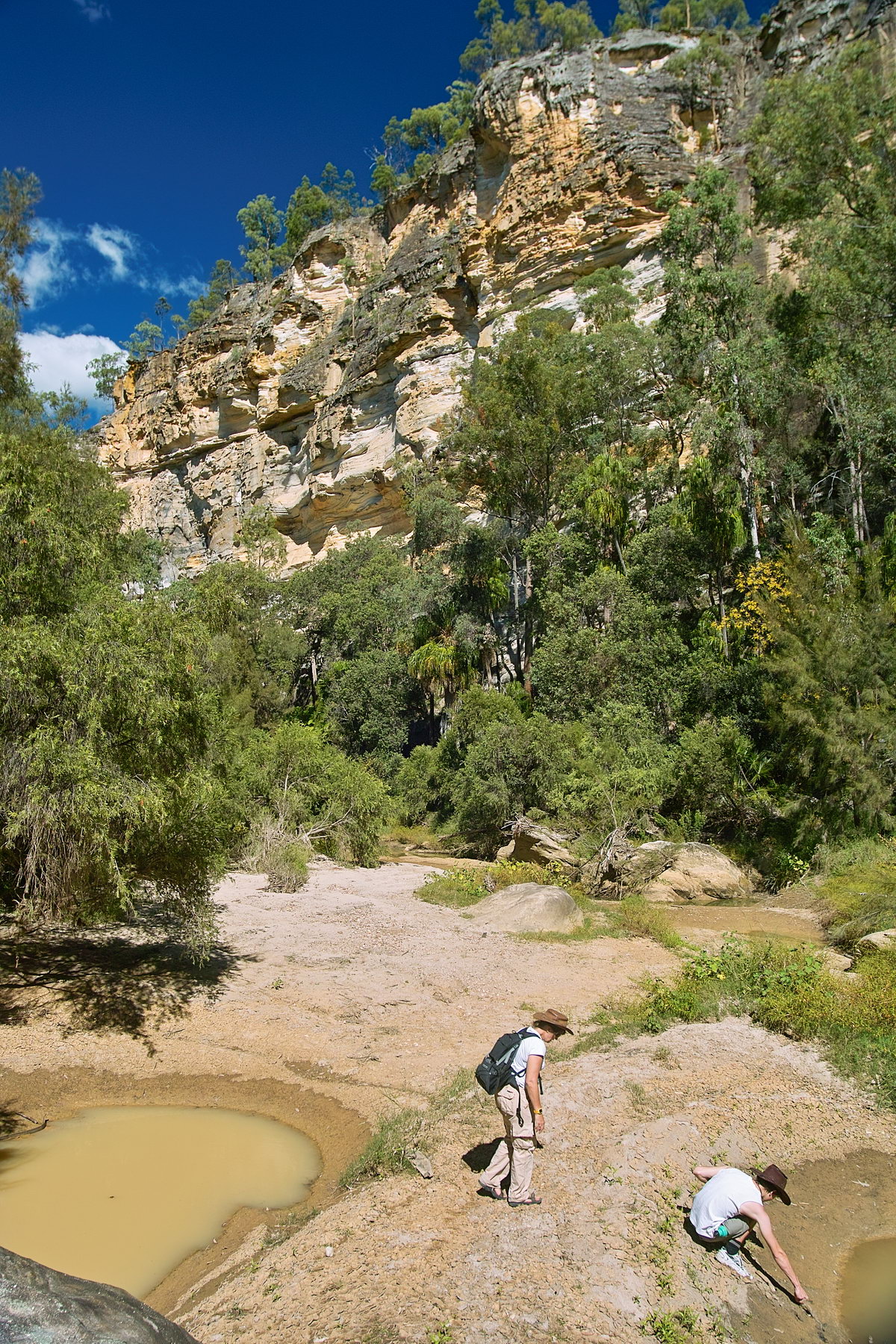 Robinsons Gorge
