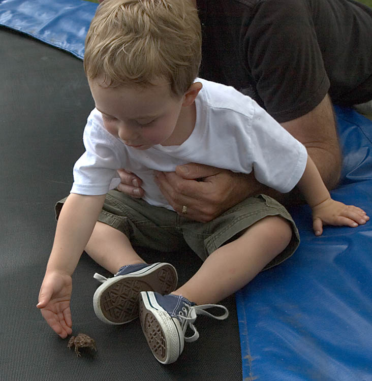 Jack helping a toad jump on a trampoline