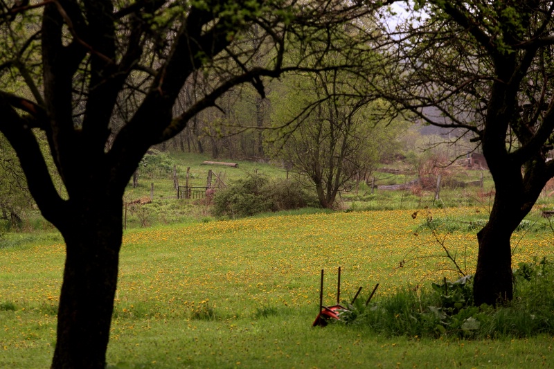 Backroads of Upper NY State