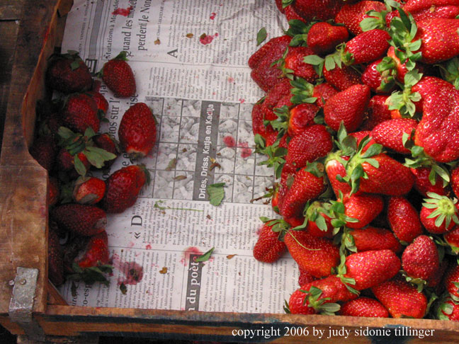 strawberries, marrakech