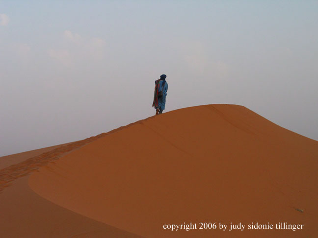 dune figure