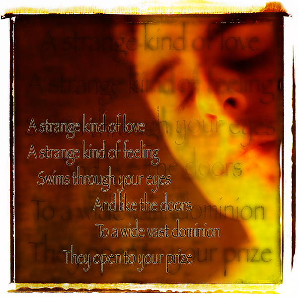 A Strange Kind Of Love