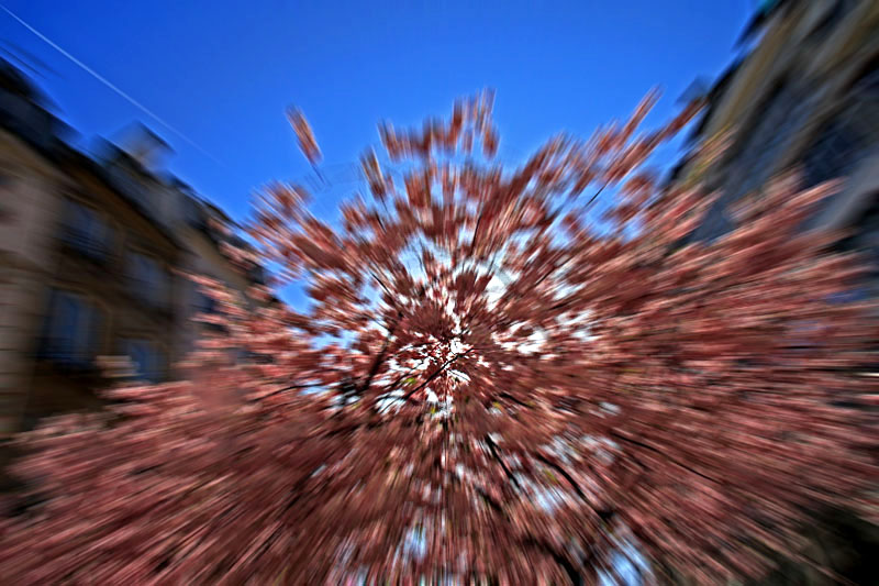 Paris Spring