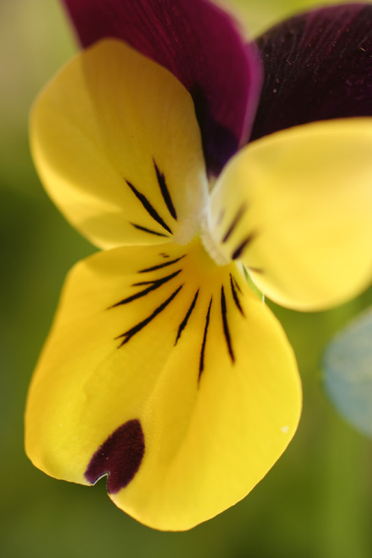 05.04.2006