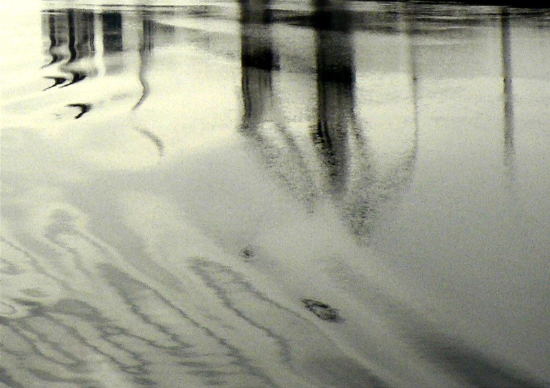 04.08.2006
