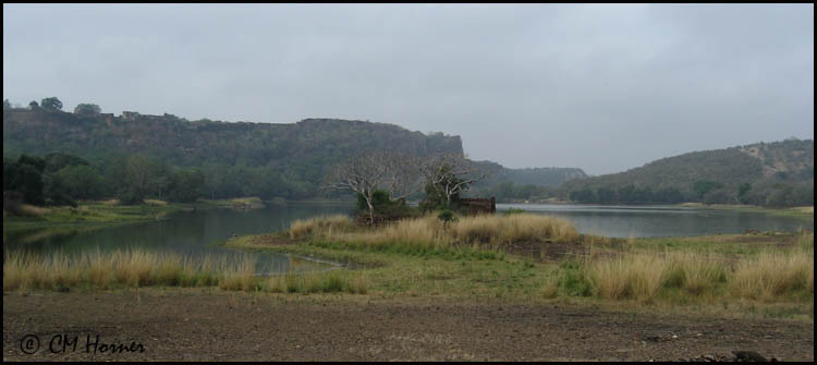 3998 Ranthambore NP.jpg