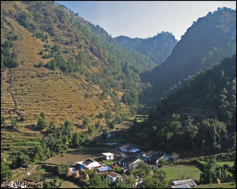 4054 Mongoli Valley.jpg