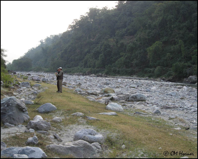 4059 Birding the river near Quality Inn.jpg