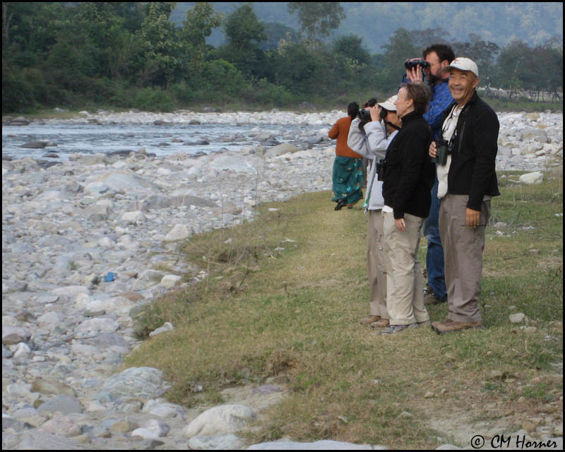 4060 Birding at Quality Inn.jpg