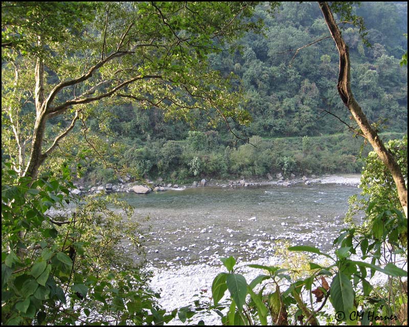 4061 River view from Quality Inn.jpg
