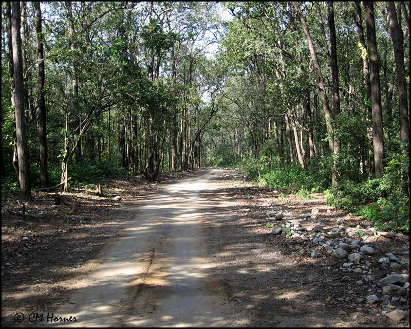 4074 Corbett NP.jpg