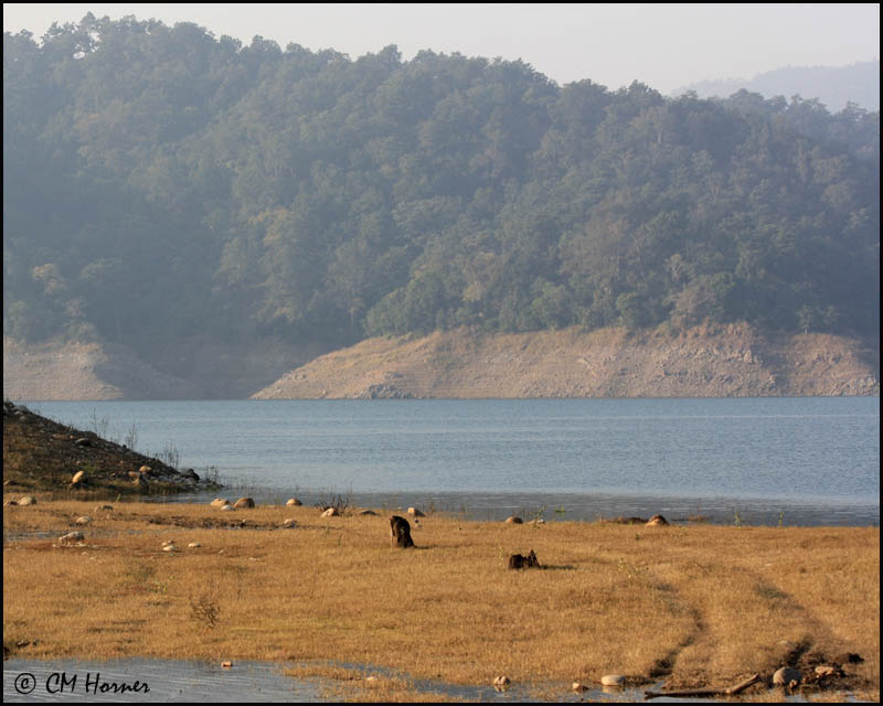 7115 Corbett scenery.jpg