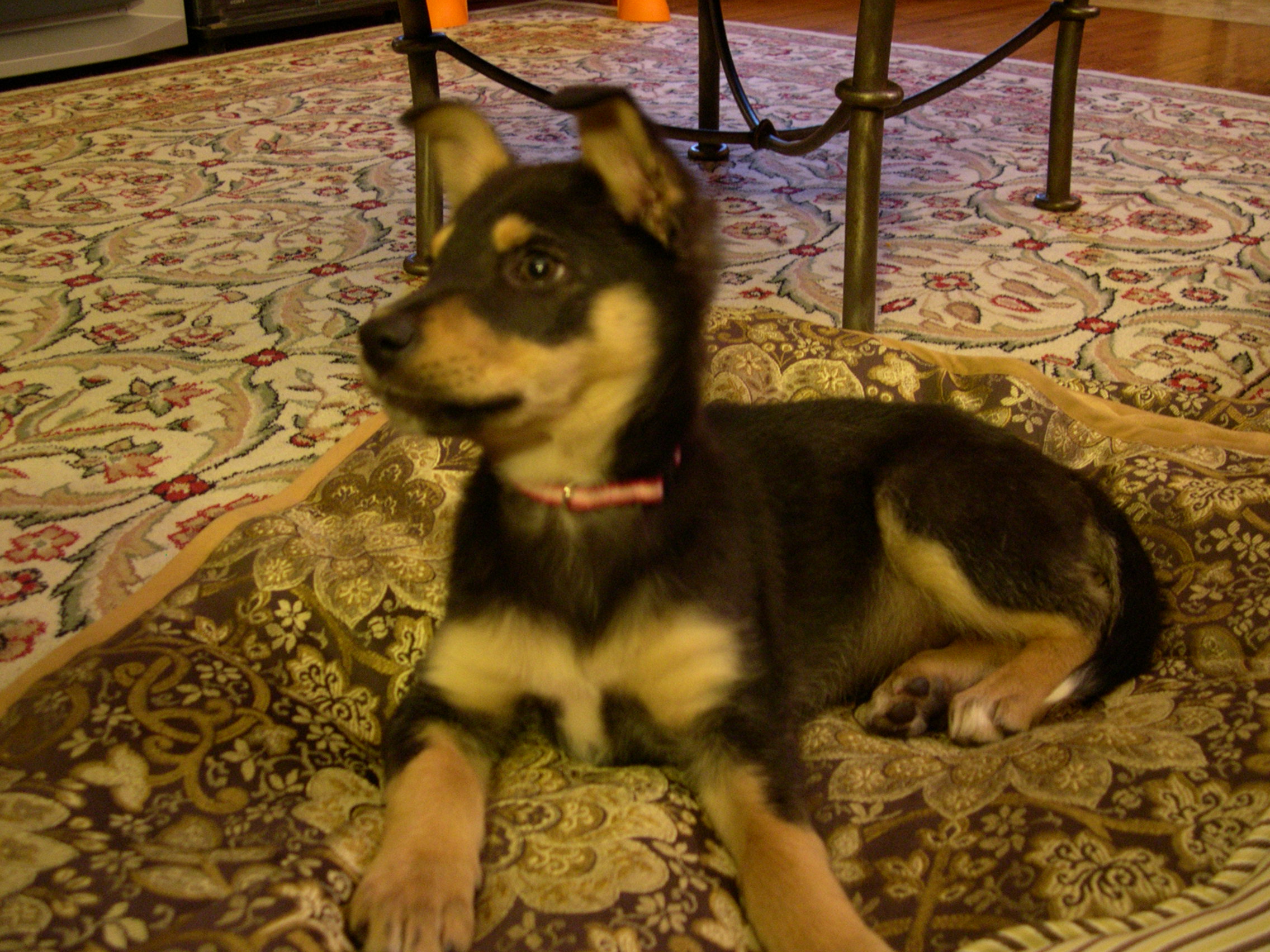 DSCN4905.JPG