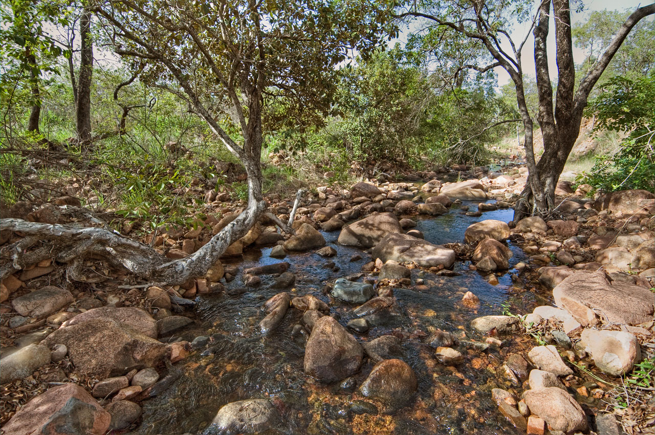 Another rocky pool _DSC3509