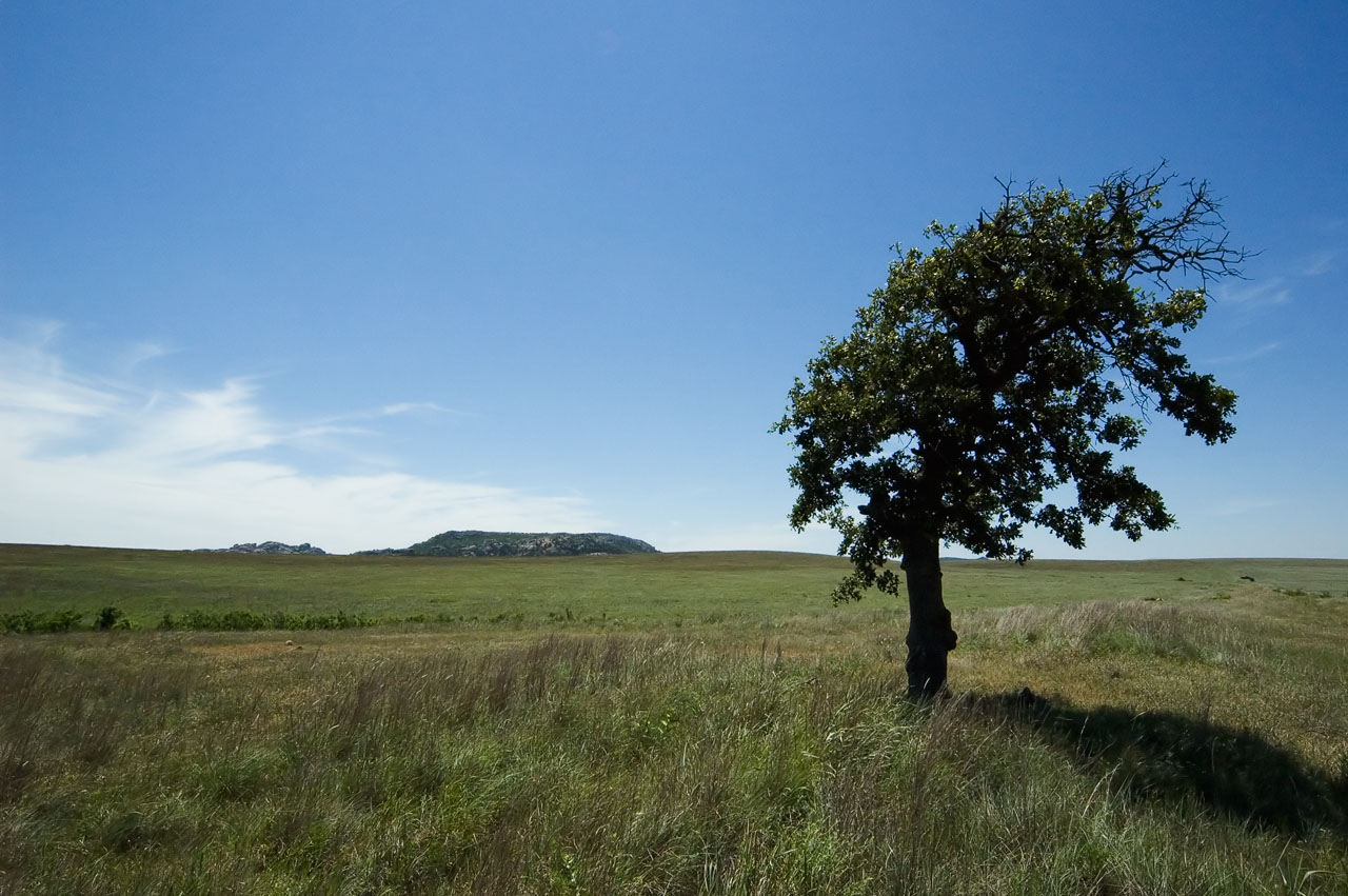 Wichita Wildlife Refuge, Oklahoma (_DSC1226)