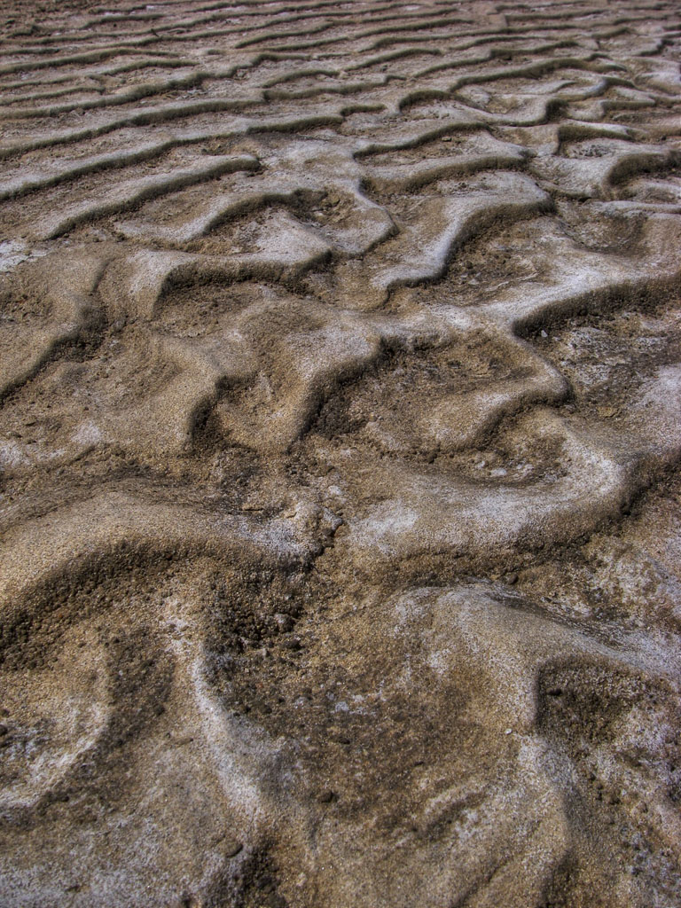 Tide flat ripples<p>IMGP0249