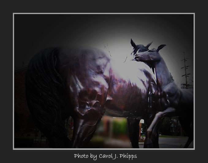 Mare and her Colt.