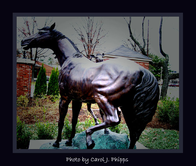 Another view of Mare and her Colt.