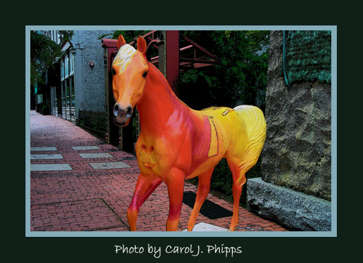 The Sunshine Horse.