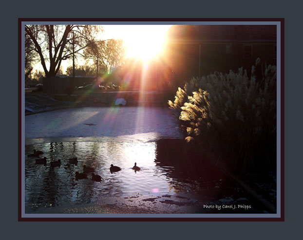 Sunset at Twinbrook.