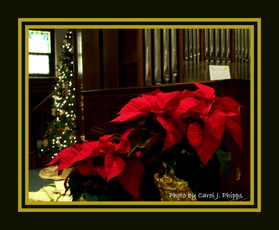 Decorations for Advent 2005.