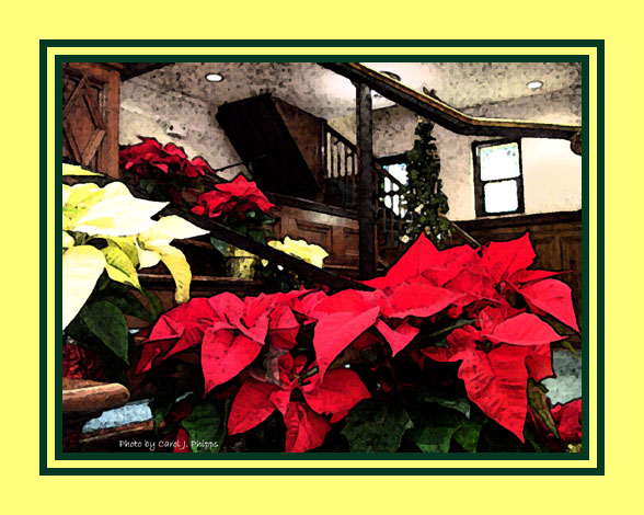 Reflections on Christmas.