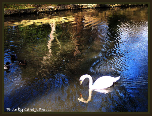 Cave Hill Pond.