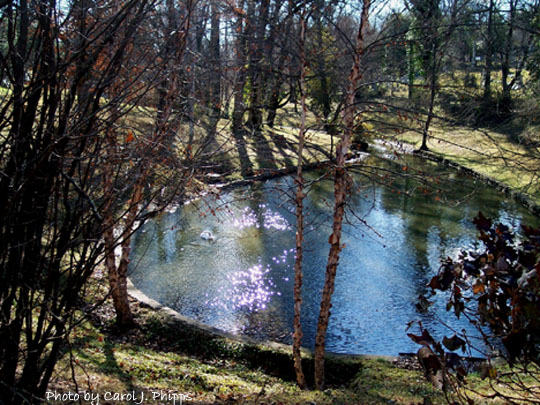 Teardrop Pond, Cave Hill Grounds.