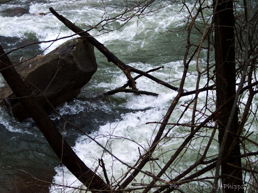 003 West Virginia White Water River.JPG