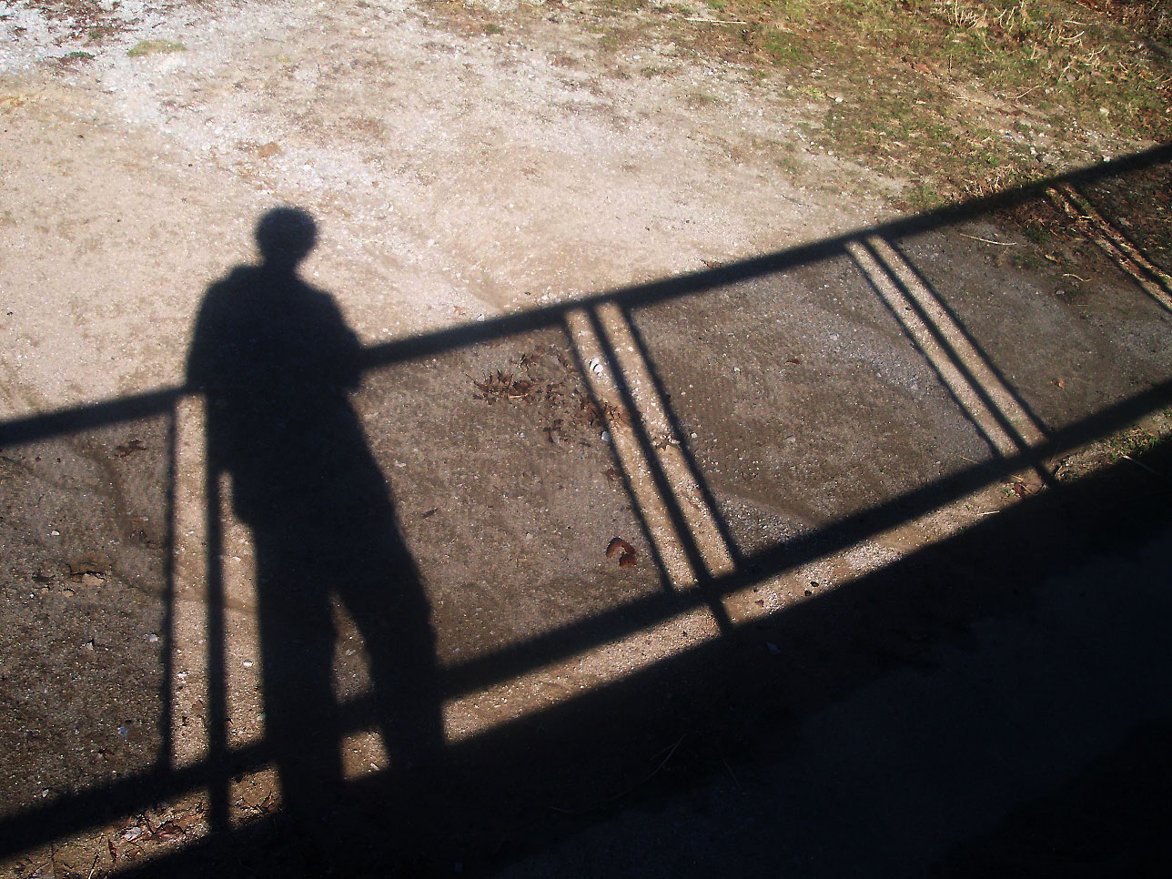 Self-Portrait ~ taking a breath.