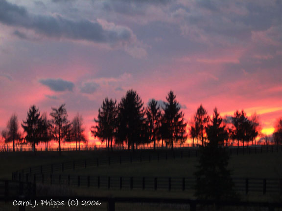 Kentucky Winter Sunset (USA)