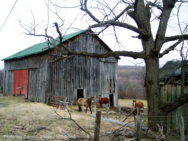 This Ol Farm.