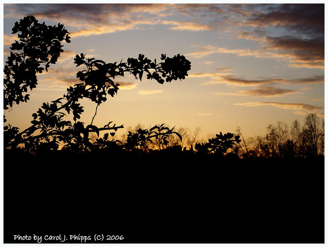 Sunset May 1 2006.