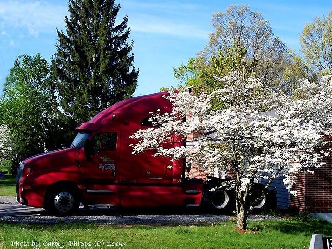 Rest Stop