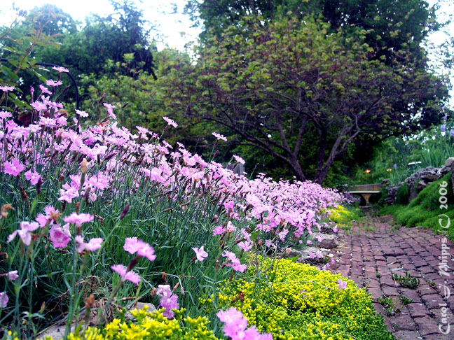 The Winery Garden Madison Indiana (USA)