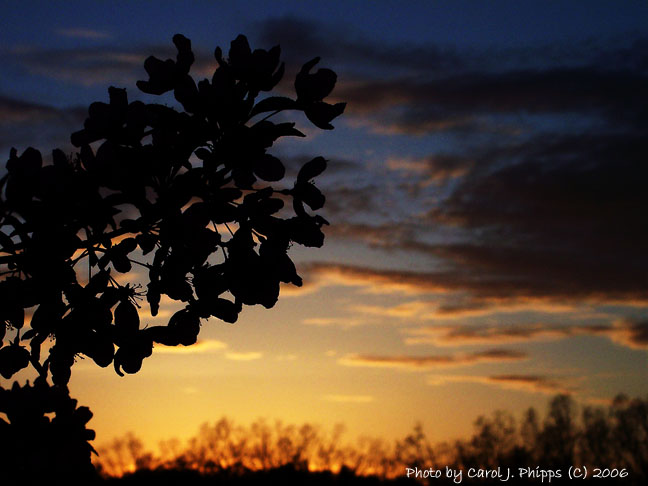 Sunset May 1 2006.