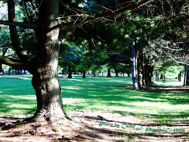 A Walk in the Park!