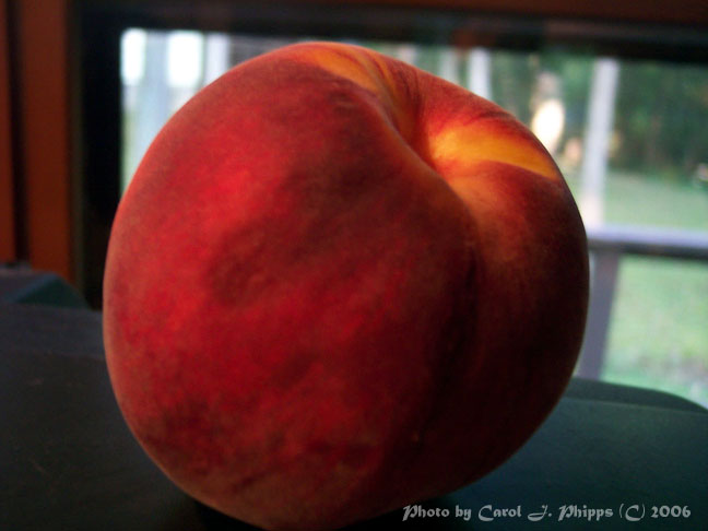 Bruised Peach.JPG