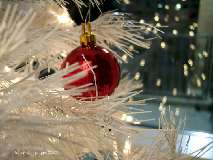 Dreaming of a White Christmas!