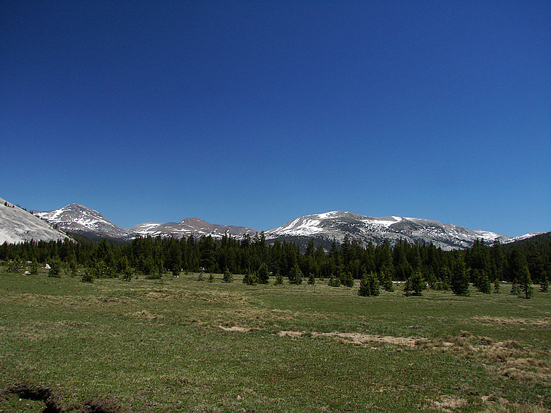 Tuolumne Meadows Yosemite