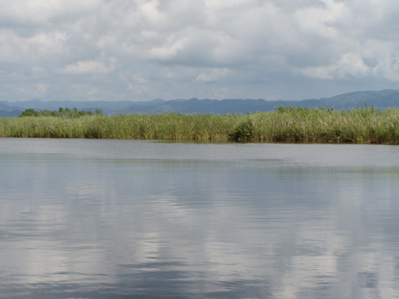 Black River delta