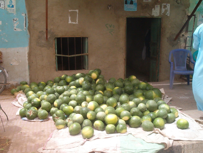 Best watermelons Ive ever tasted!