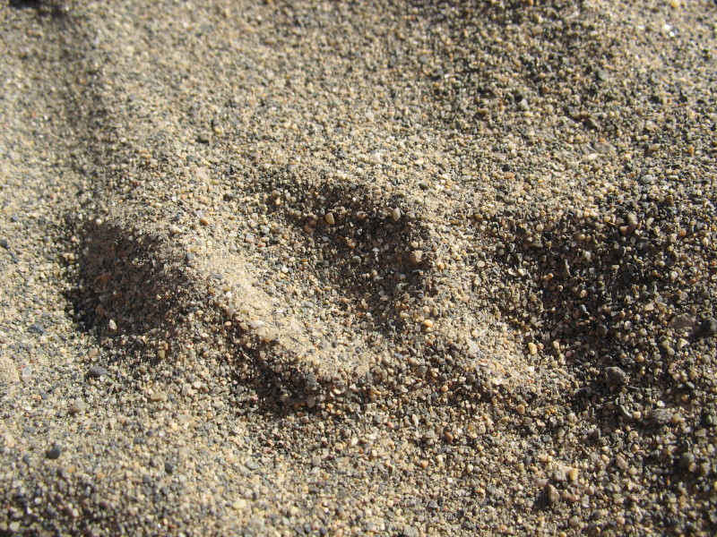 Fingerprints in the sand