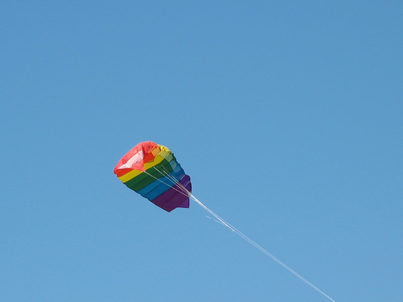 Some people were flying a kite nearby