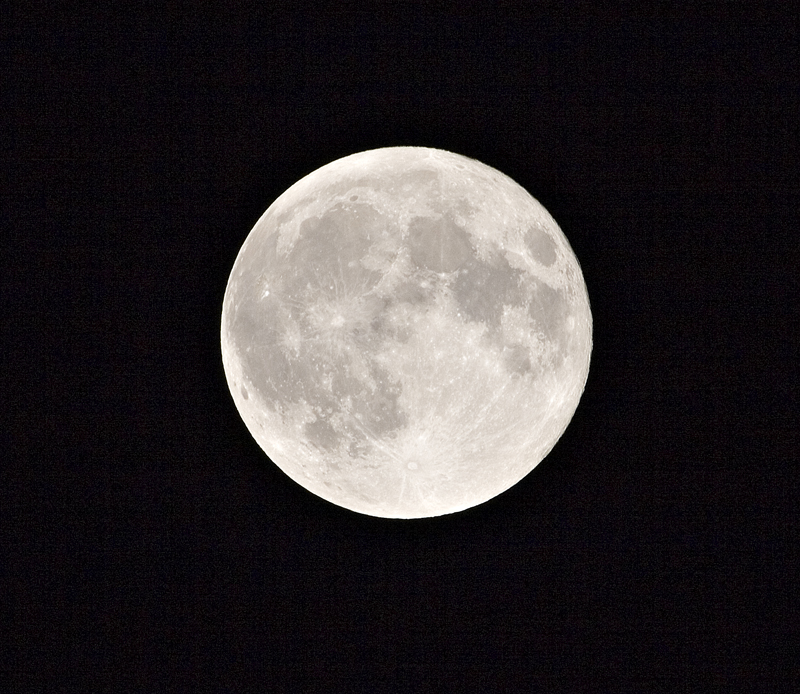 IMG_5374web.jpg