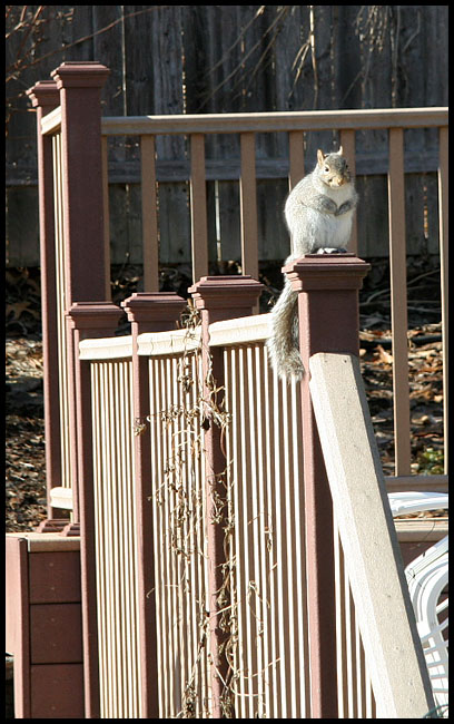 January 13, 2008                                                                                     3713.jpg