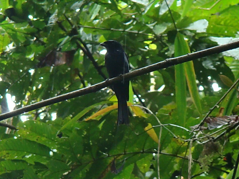 DSC09187e.JPG