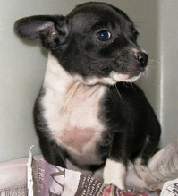 o4/65/307665/1/110951931.u90ZkDJO.JOJO10weeks.jpg