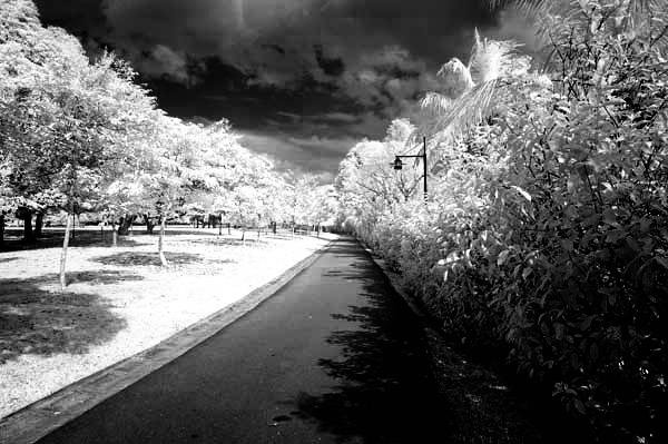 Abdul_LongWalk