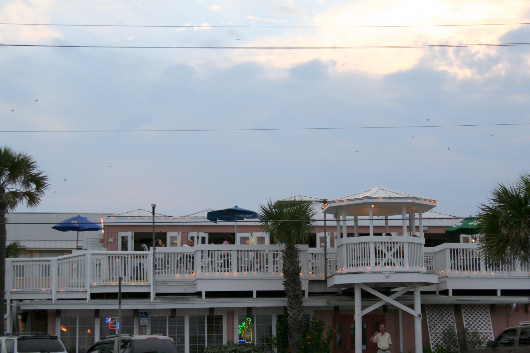 Panama Hatties/Anastasia Island, St Augustine Beach area